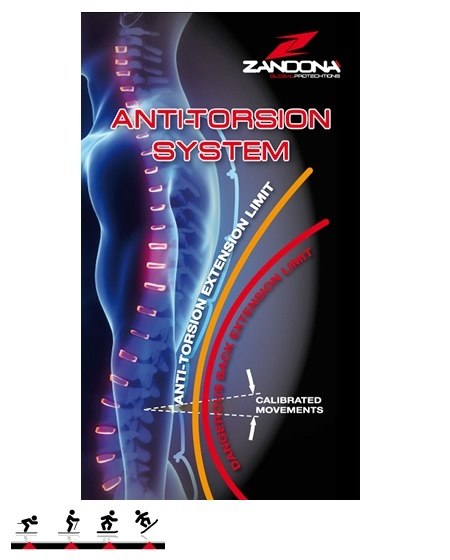 spine torsion system